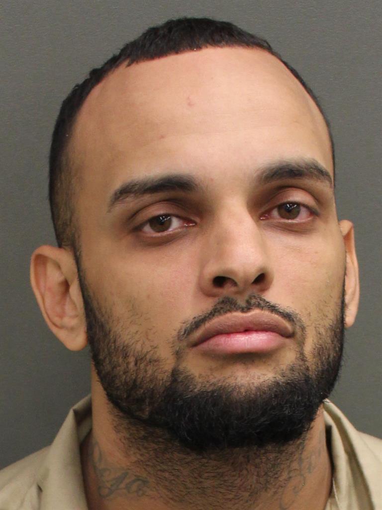  JOSE BORGES Mugshot / County Arrests / Orange County Arrests