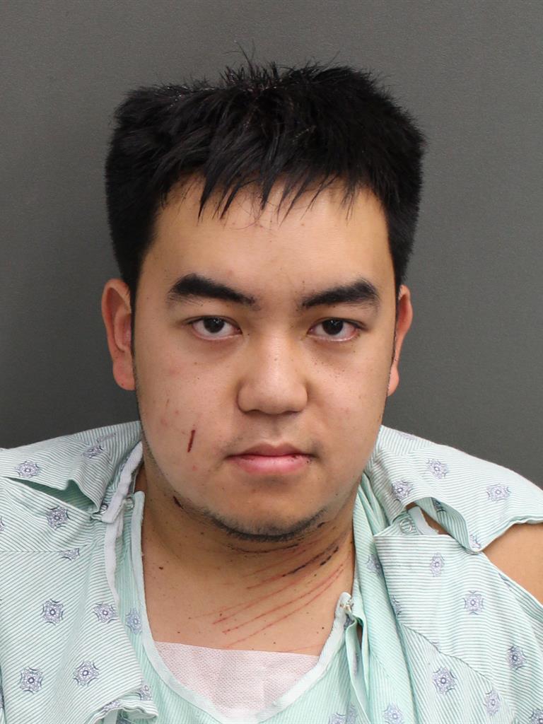  SHAWN NGUYEN Mugshot / County Arrests / Orange County Arrests