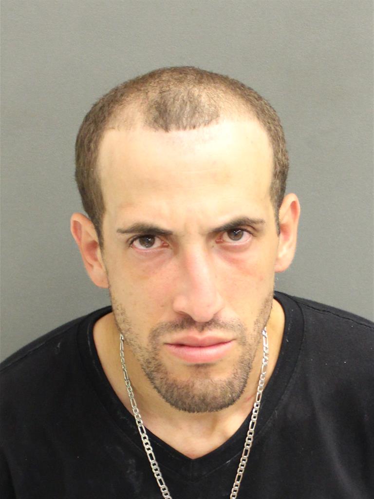  JOSE LUIS RUIZBURGOS Mugshot / County Arrests / Orange County Arrests