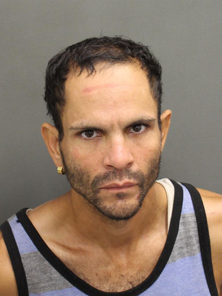  YAMIL JOHAN RIVERACRUZ Mugshot / County Arrests / Orange County Arrests