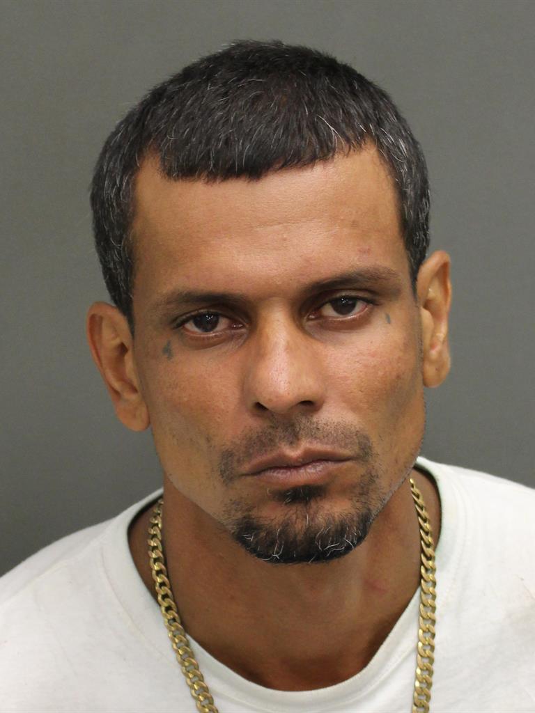 LOUIS LOUBRIELMARTINEZ Mugshot / County Arrests / Orange County Arrests