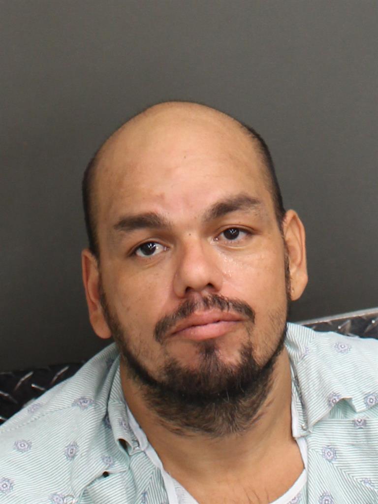  MICHAEL DROTZUR Mugshot / County Arrests / Orange County Arrests