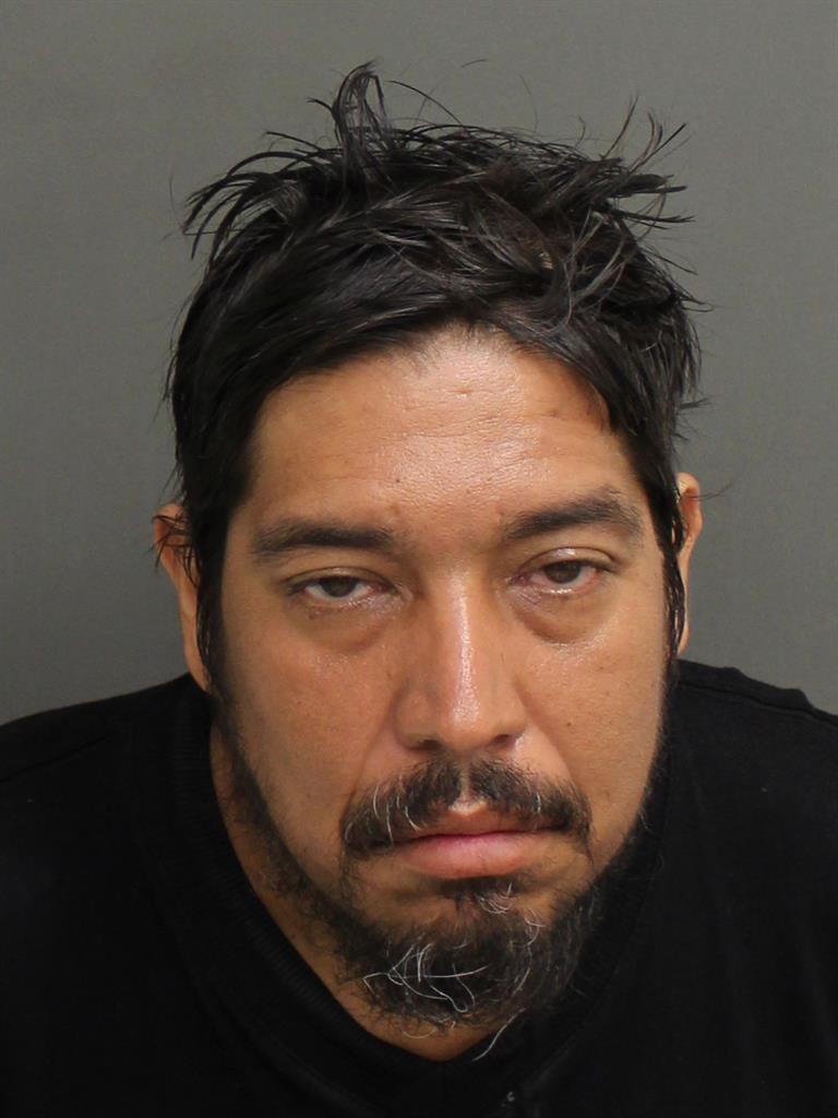  ALVARO  JR PALOMINO Mugshot / County Arrests / Orange County Arrests