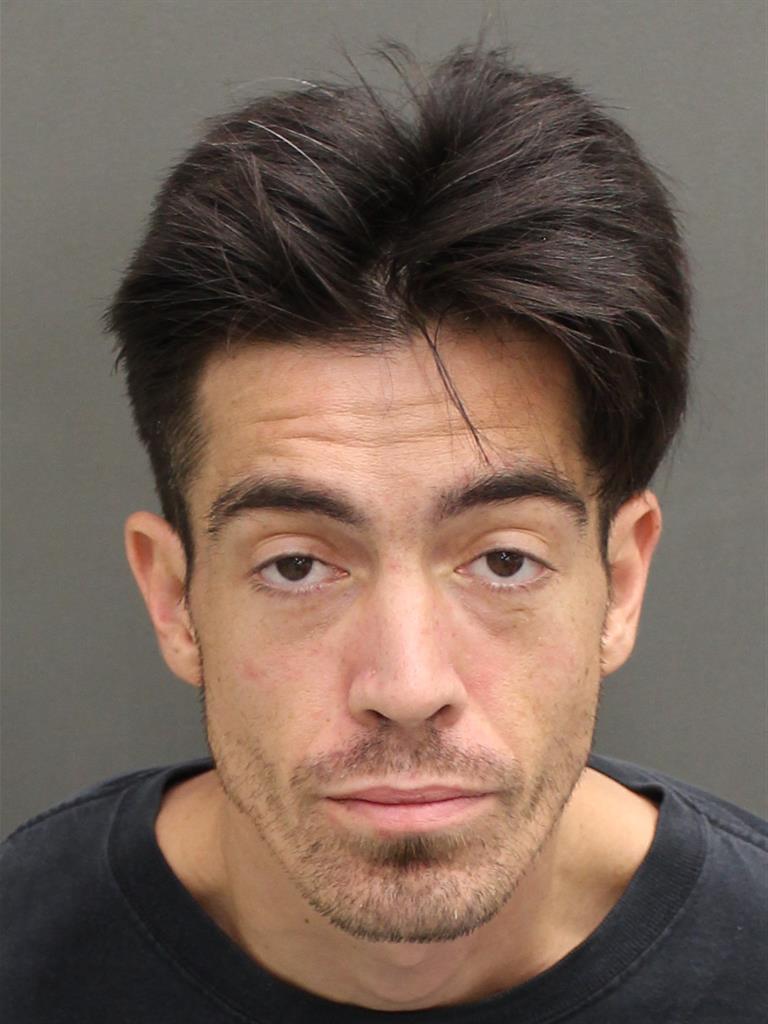  BRENT SHAWN LEE Mugshot / County Arrests / Orange County Arrests