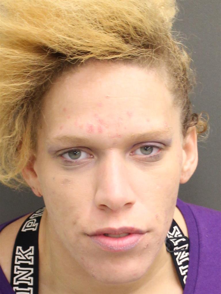  DANIELLE N THOMAS Mugshot / County Arrests / Orange County Arrests
