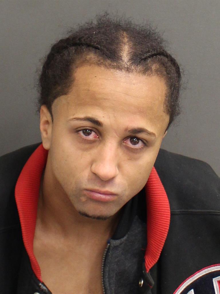  SEDALE DEPINA Mugshot / County Arrests / Orange County Arrests