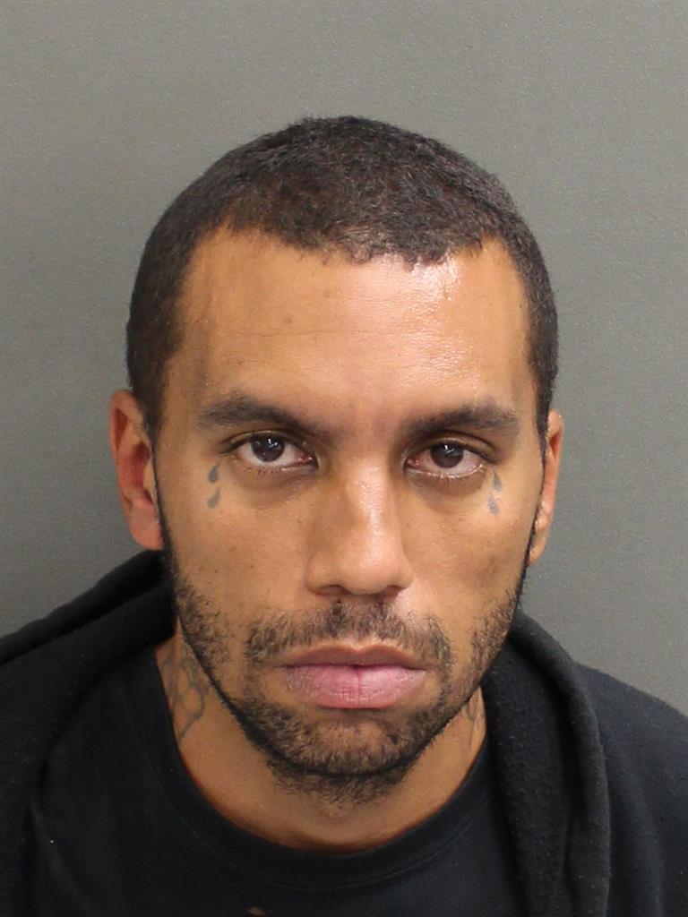  CHRISTOPHER JAMES BURROW Mugshot / County Arrests / Orange County Arrests