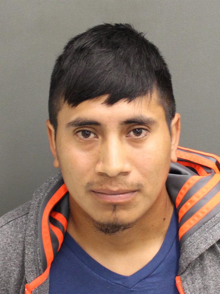  ELDER NEPTALI SOTOGOMEZ Mugshot / County Arrests / Orange County Arrests