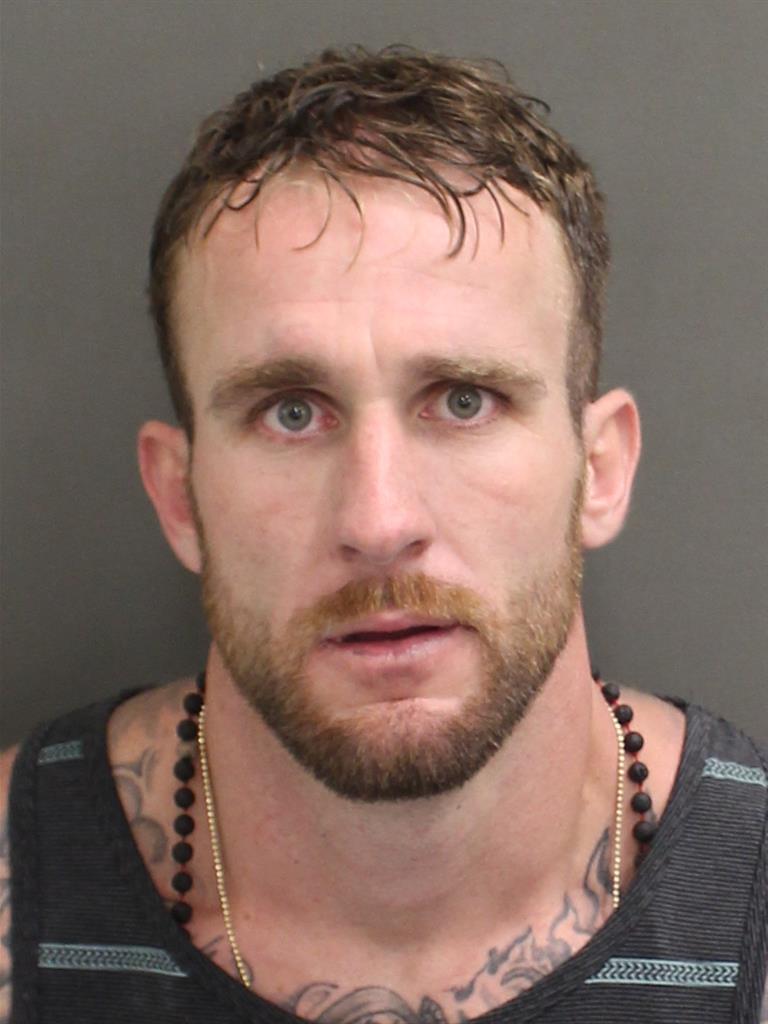  BRETT RUSSELL HAMIEL Mugshot / County Arrests / Orange County Arrests