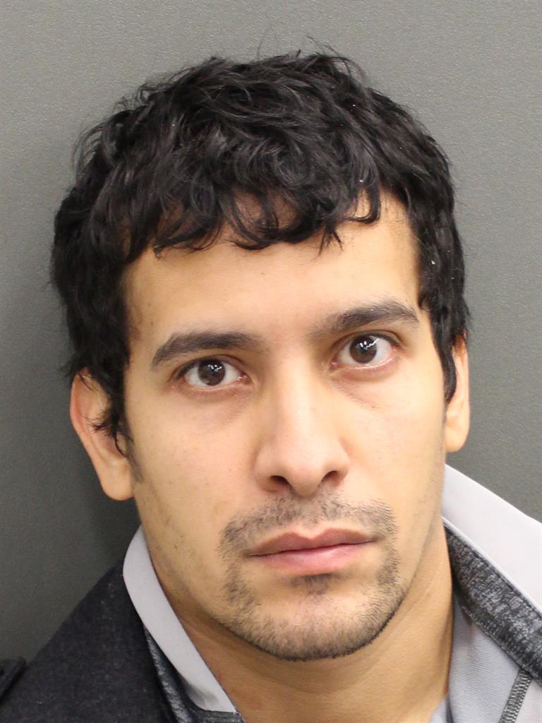  RANFYS FABIAN VALLESIMMONS Mugshot / County Arrests / Orange County Arrests