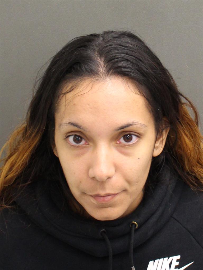  CHRISTINA L BORGES Mugshot / County Arrests / Orange County Arrests