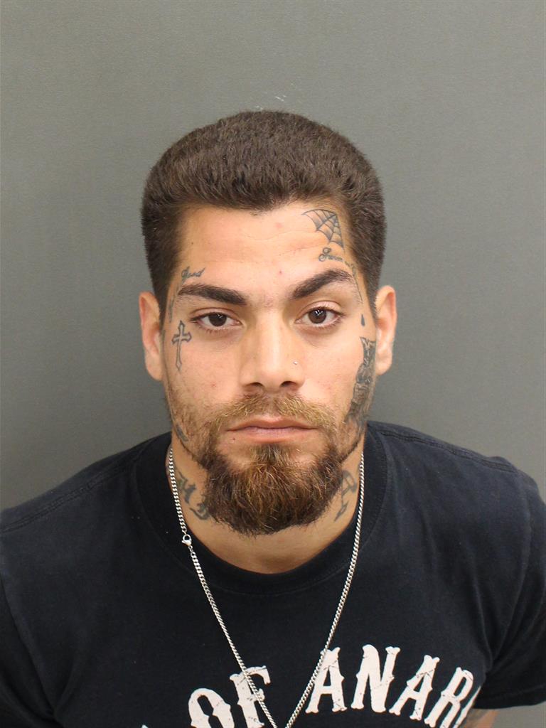  EDWIN OMAR MEJIAS Mugshot / County Arrests / Orange County Arrests