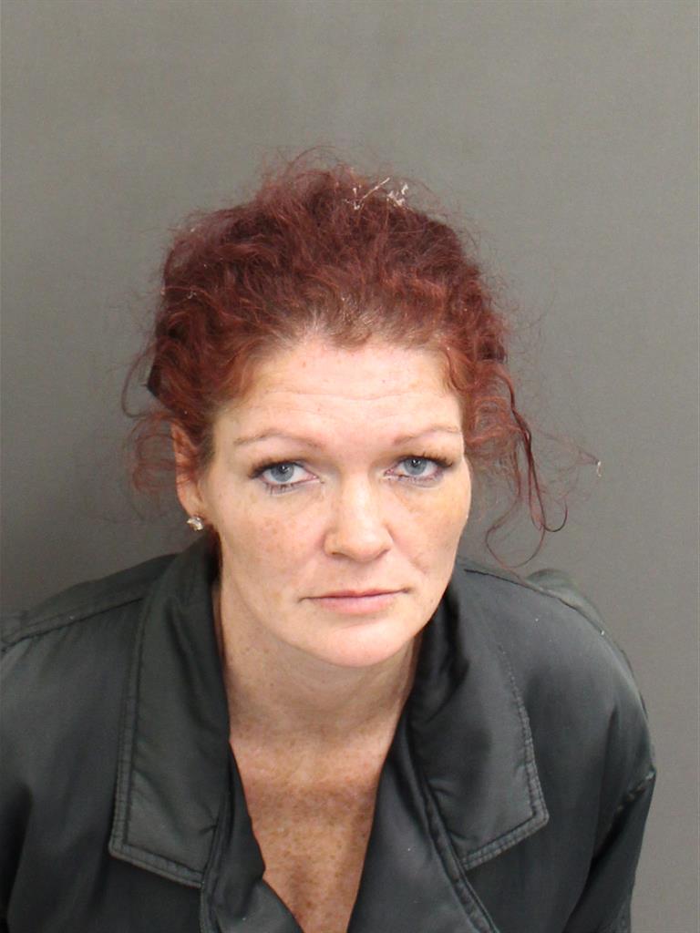  LISA MARIE REID Mugshot / County Arrests / Orange County Arrests