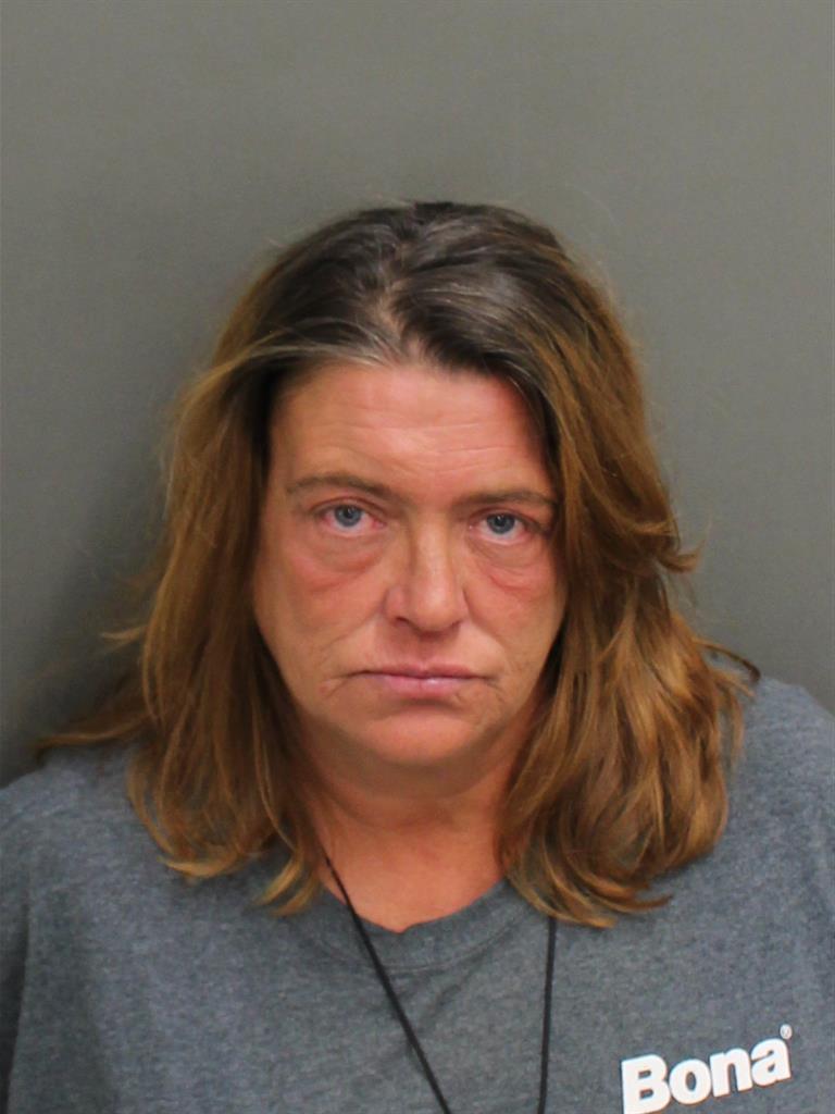  BRENDA HINES Mugshot / County Arrests / Orange County Arrests