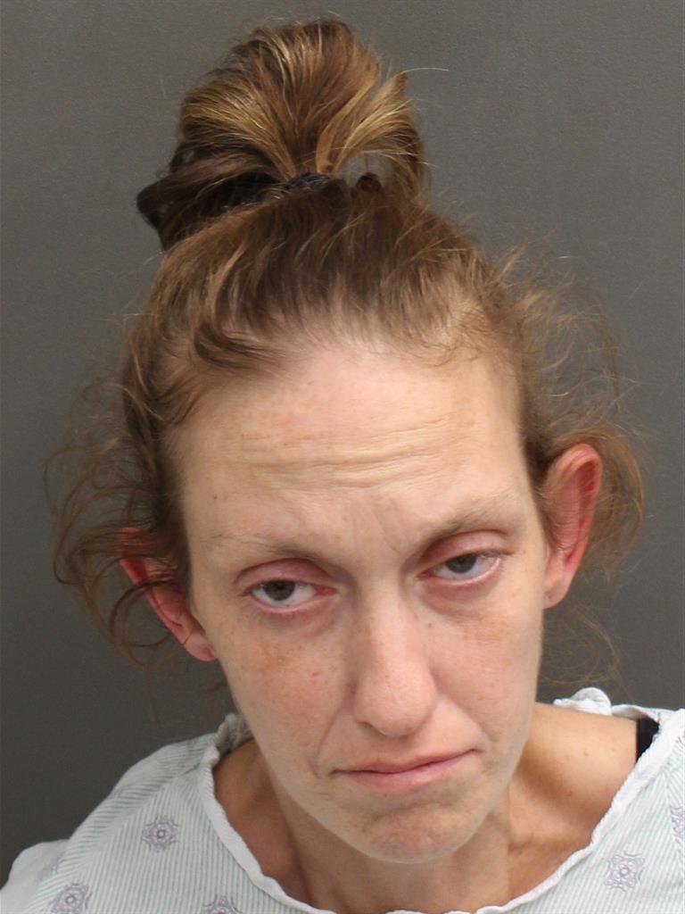  BRIGHID KATHLEEN BURKE Mugshot / County Arrests / Orange County Arrests