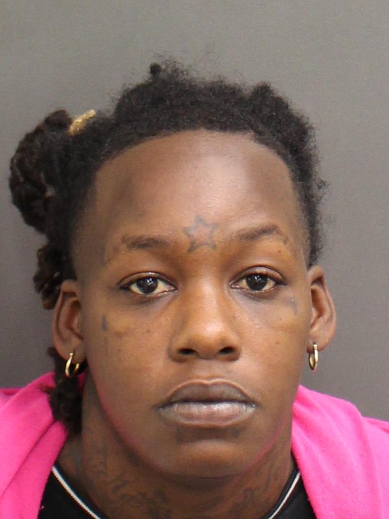  TERIKA HAMILTON Mugshot / County Arrests / Orange County Arrests
