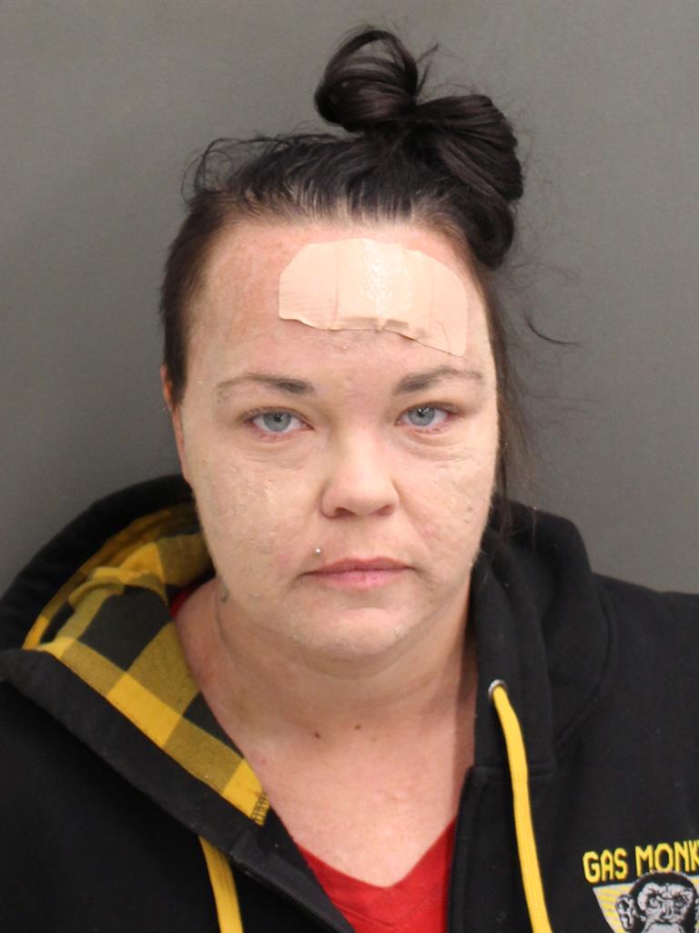  AMANDA LYNN WALDRON Mugshot / County Arrests / Orange County Arrests