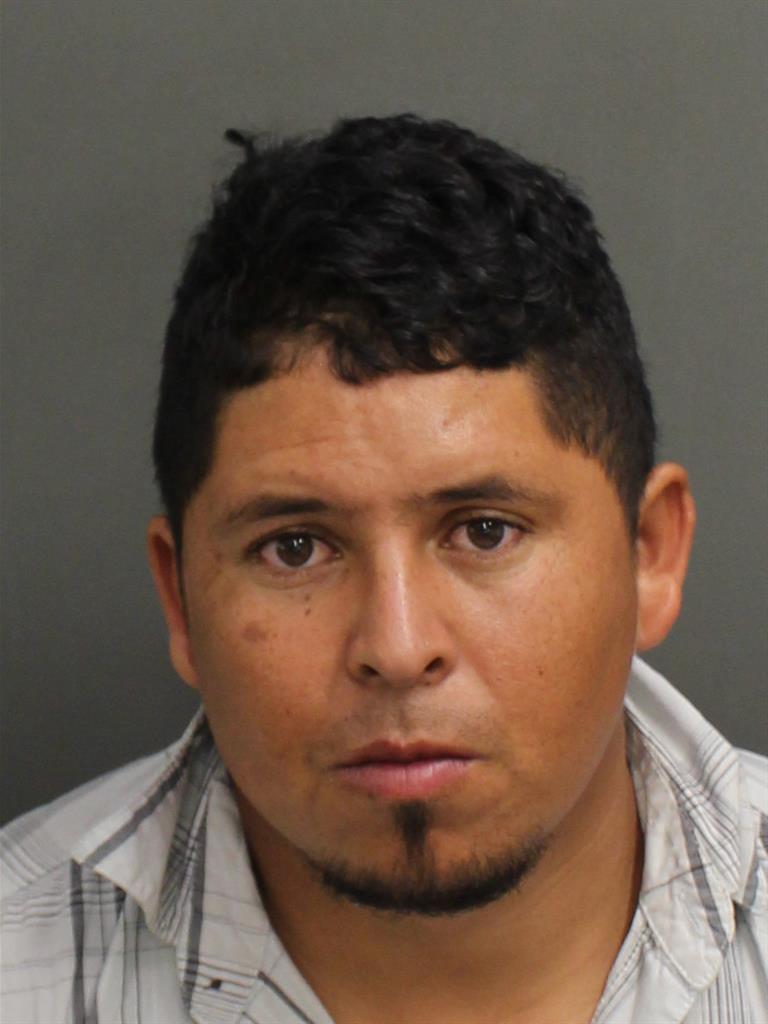  MAINOR DANILO ALCERRO Mugshot / County Arrests / Orange County Arrests