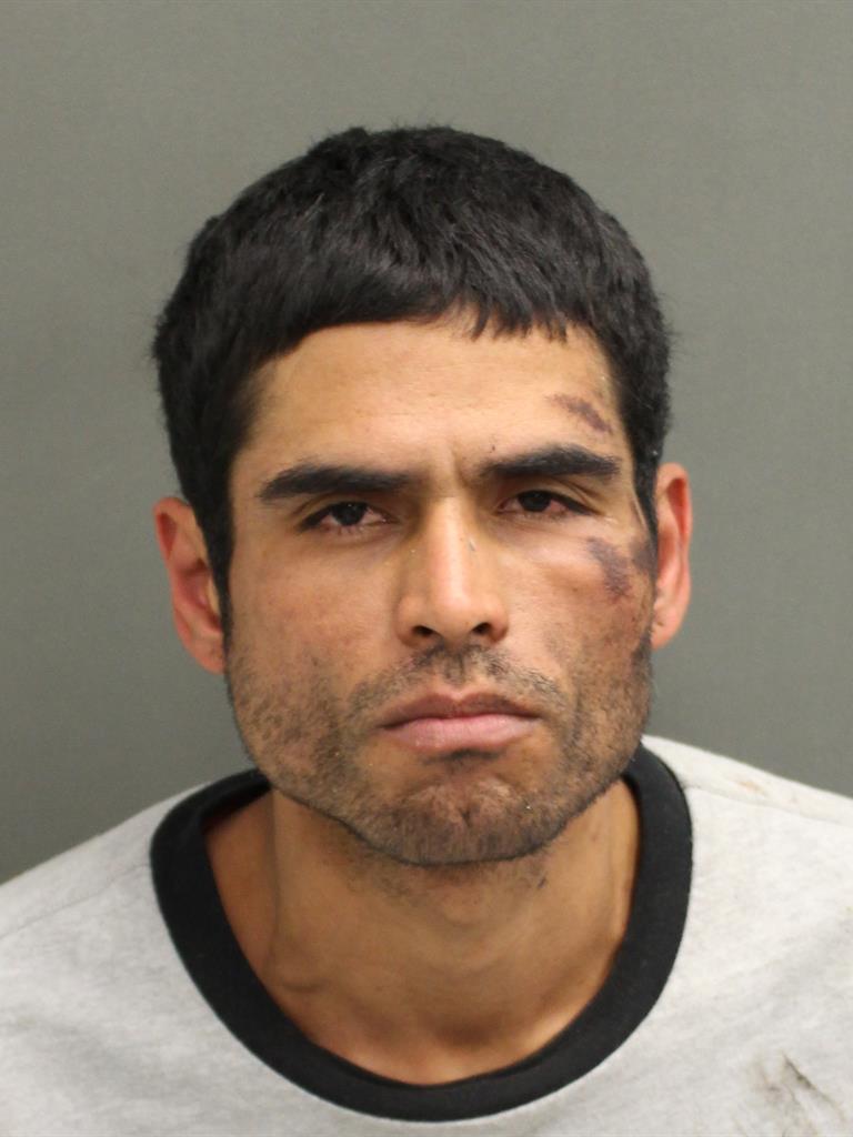  ANDRES JAVIER ACEVEDOVEGA Photo Image