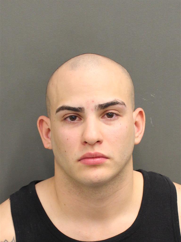  FELIX VEGAVILELLA Mugshot / County Arrests / Orange County Arrests