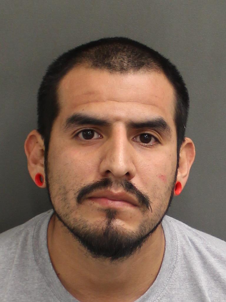  FERNANDO SEBASTIN ABRIGO Mugshot / County Arrests / Orange County Arrests