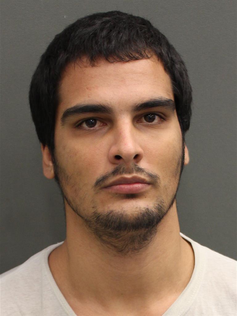  TYLER ROBERT LINCOLN Mugshot / County Arrests / Orange County Arrests