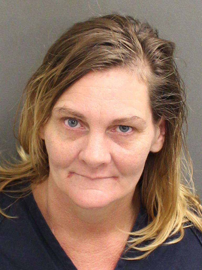  LAURA ANN BARNES Mugshot / County Arrests / Orange County Arrests