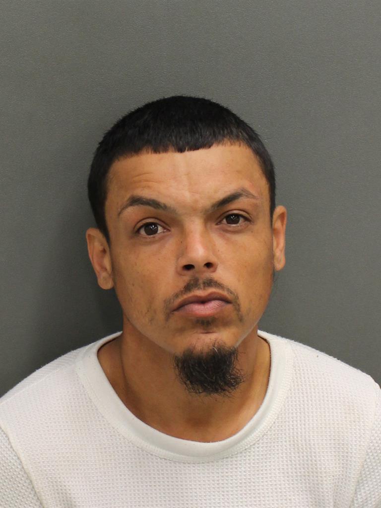  RAY JAYSSON NEGRON Mugshot / County Arrests / Orange County Arrests