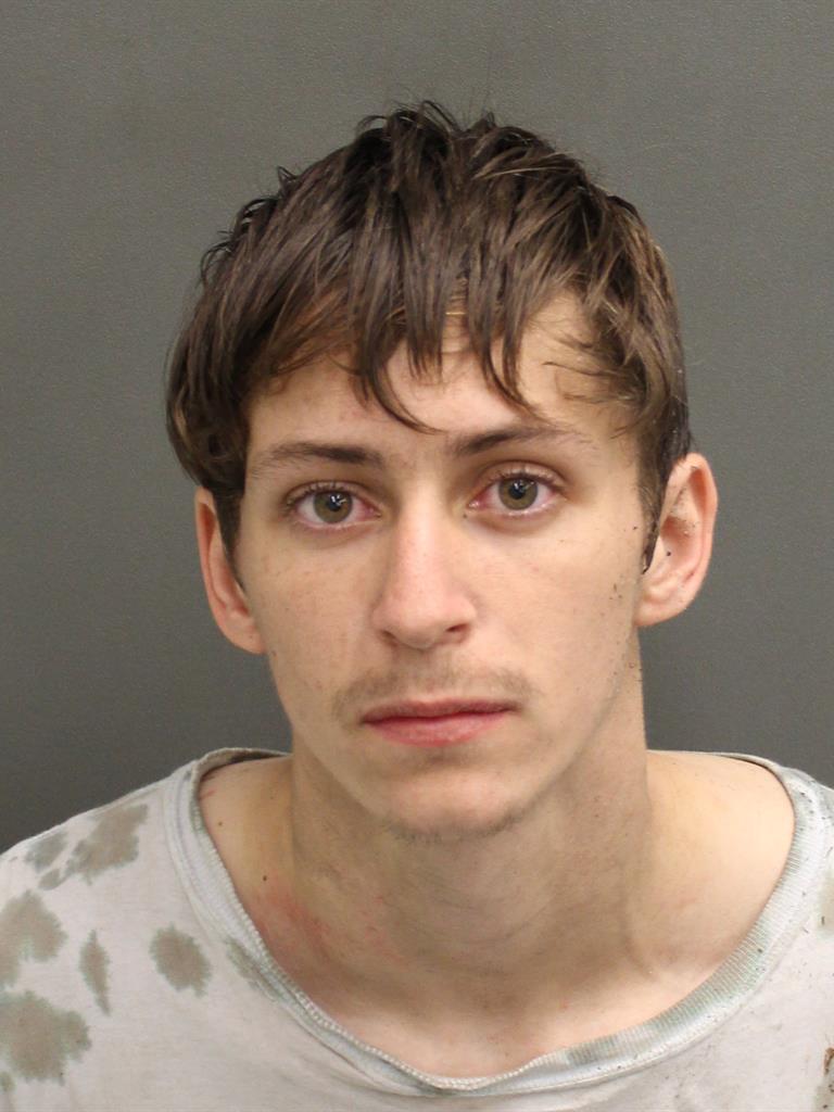  DYLAN CLAY CRIBBS Mugshot / County Arrests / Orange County Arrests