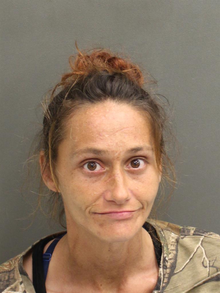  REBECCA ELIZABETH WELLS Mugshot / County Arrests / Orange County Arrests