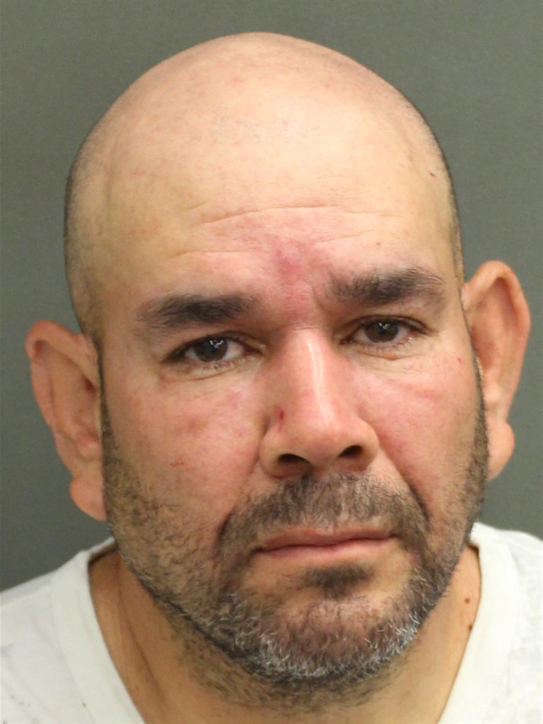  RONALDO LUIZ ROCHA Mugshot / County Arrests / Orange County Arrests