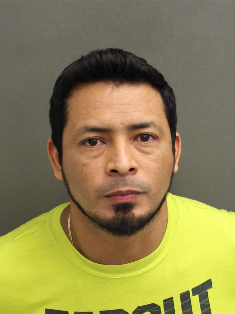  NELSON ENRIQUE LOPEZFLORES Mugshot / County Arrests / Orange County Arrests