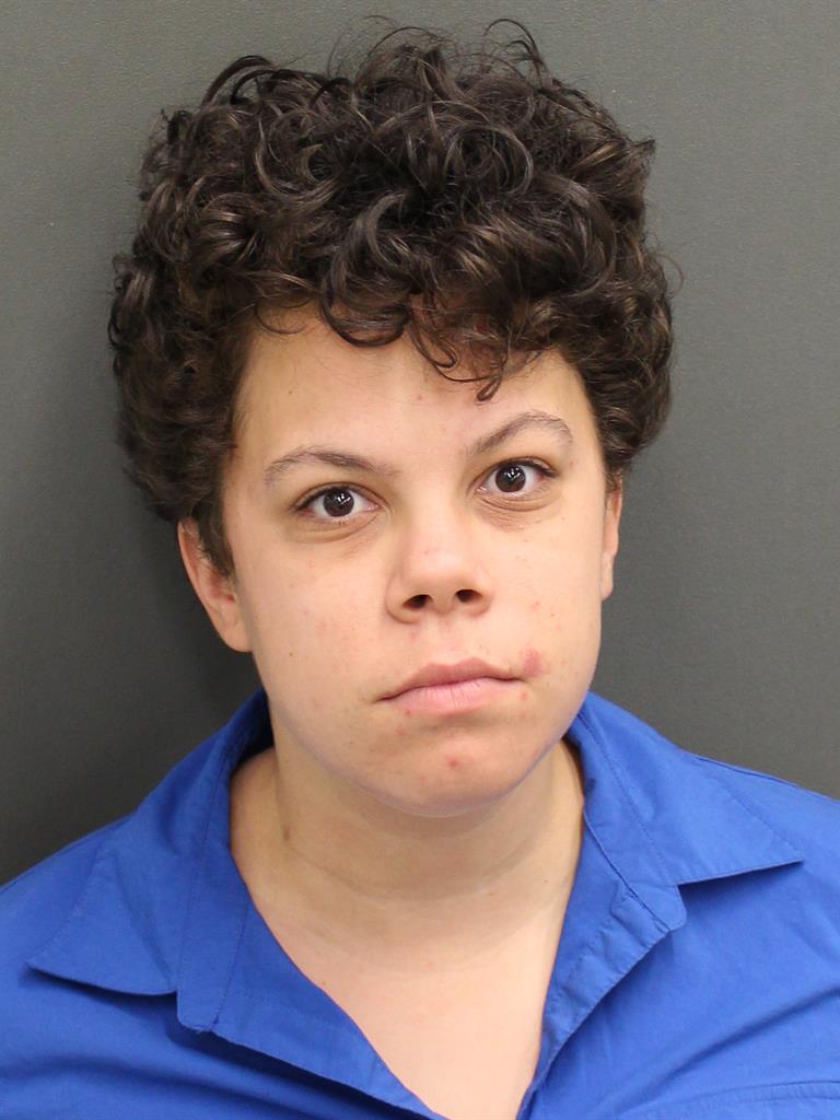  SARA ELISE WARNER Mugshot / County Arrests / Orange County Arrests