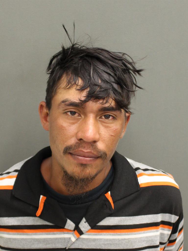  GIOVANNI CALEX Photo Image