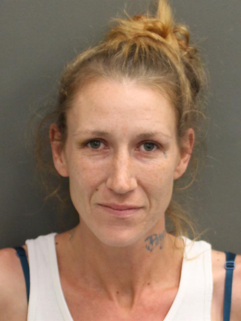  DANIELLE LEIGH WALTERS Mugshot / County Arrests / Orange County Arrests