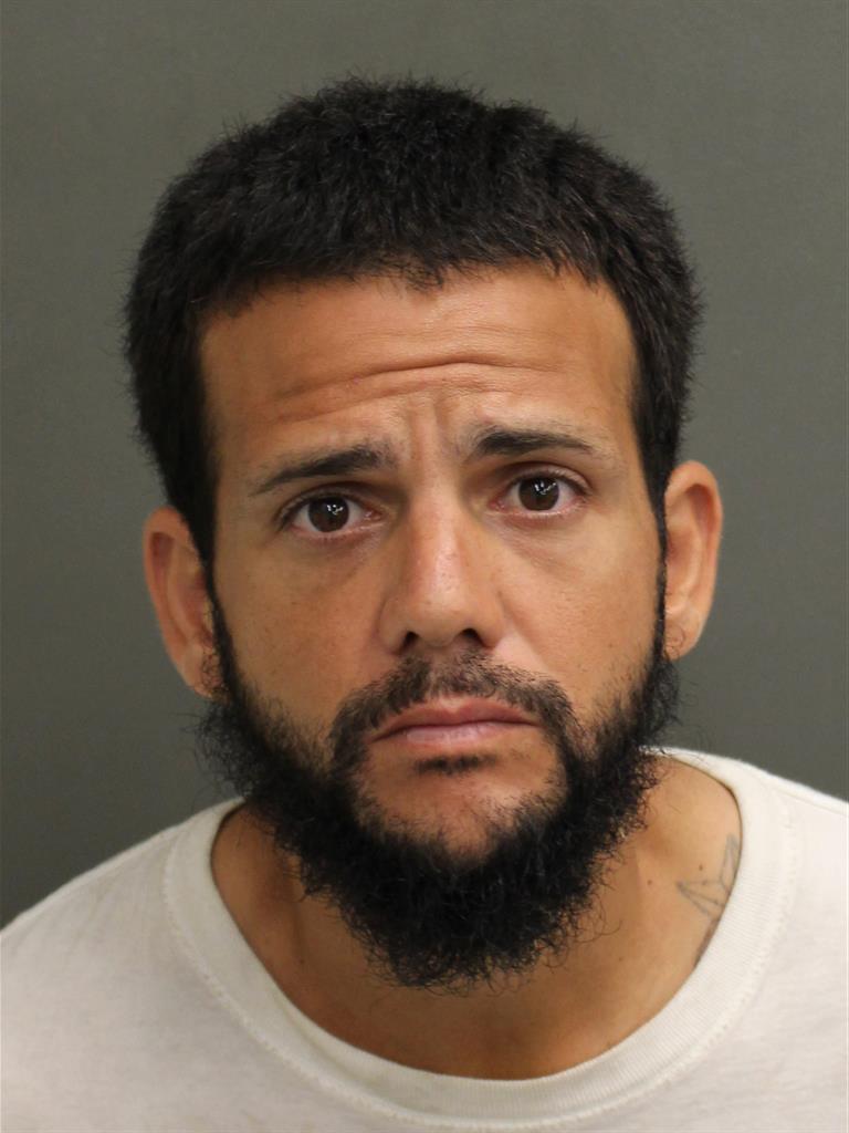  RAUL VILLARINI Mugshot / County Arrests / Orange County Arrests
