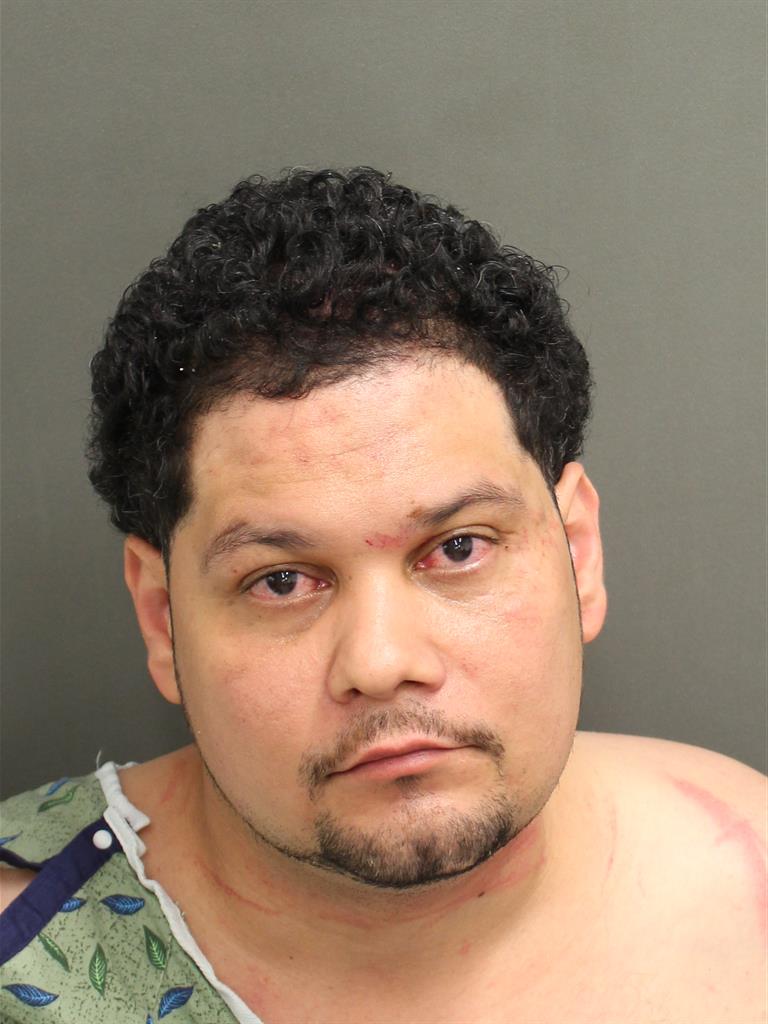  WILFRIDO RAFAEL DIAZ Mugshot / County Arrests / Orange County Arrests