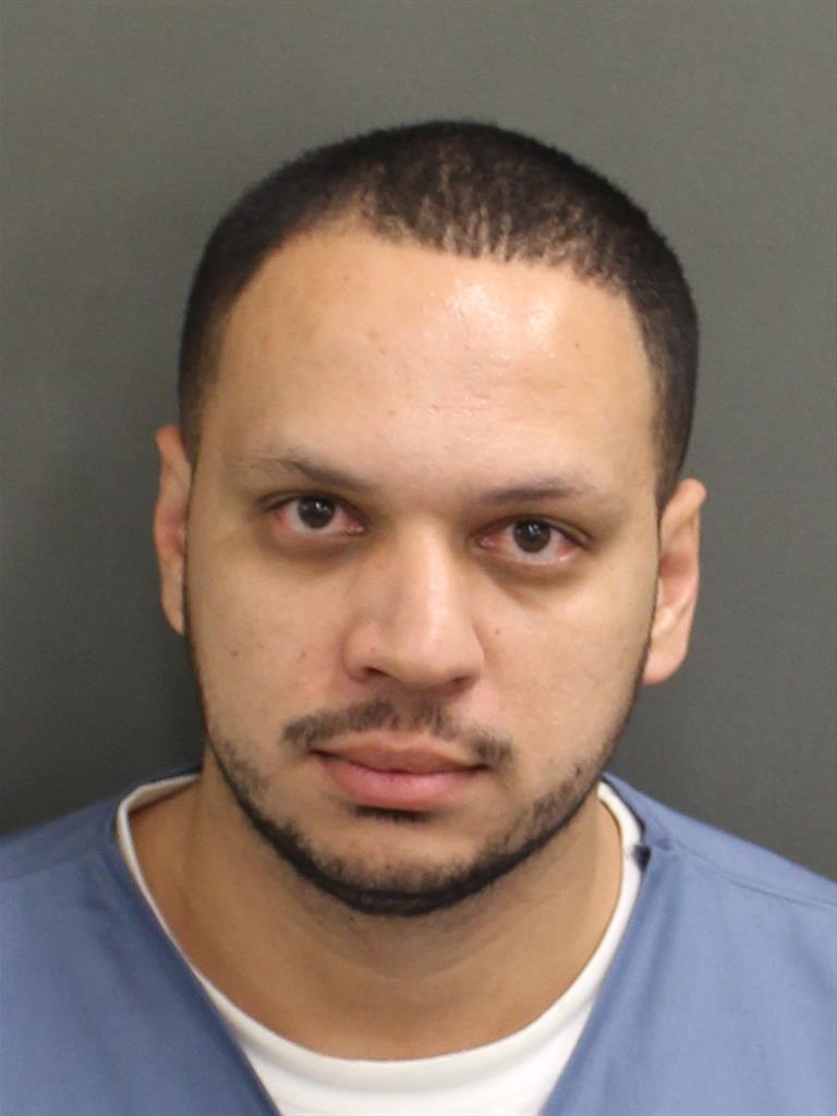  JOSE LUIZ RECCO Mugshot / County Arrests / Orange County Arrests