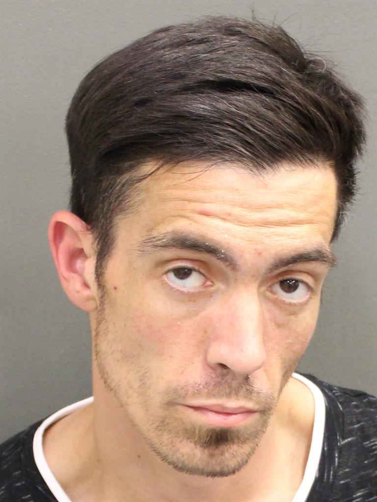  BRENT SHAWN LEE Mugshot / County Arrests / Orange County Arrests