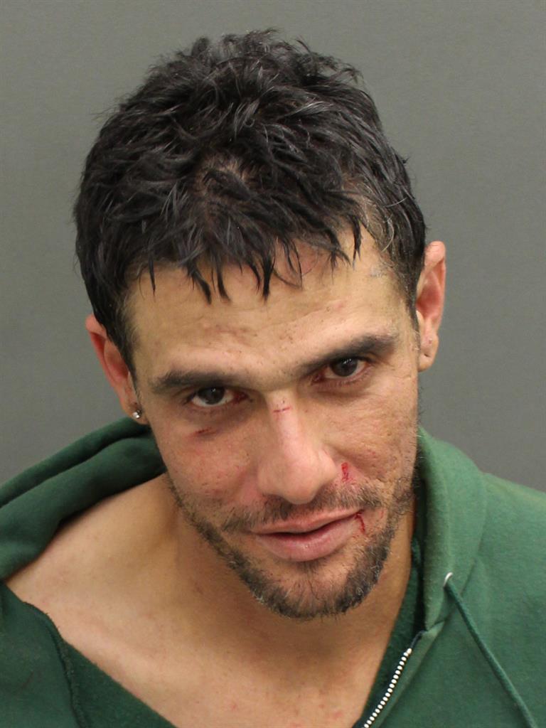  NICHOLAS J SANTINI Mugshot / County Arrests / Orange County Arrests