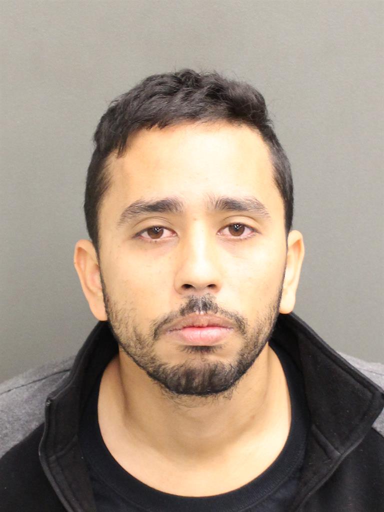  CARLOS EDUARDO PEREIRA Mugshot / County Arrests / Orange County Arrests