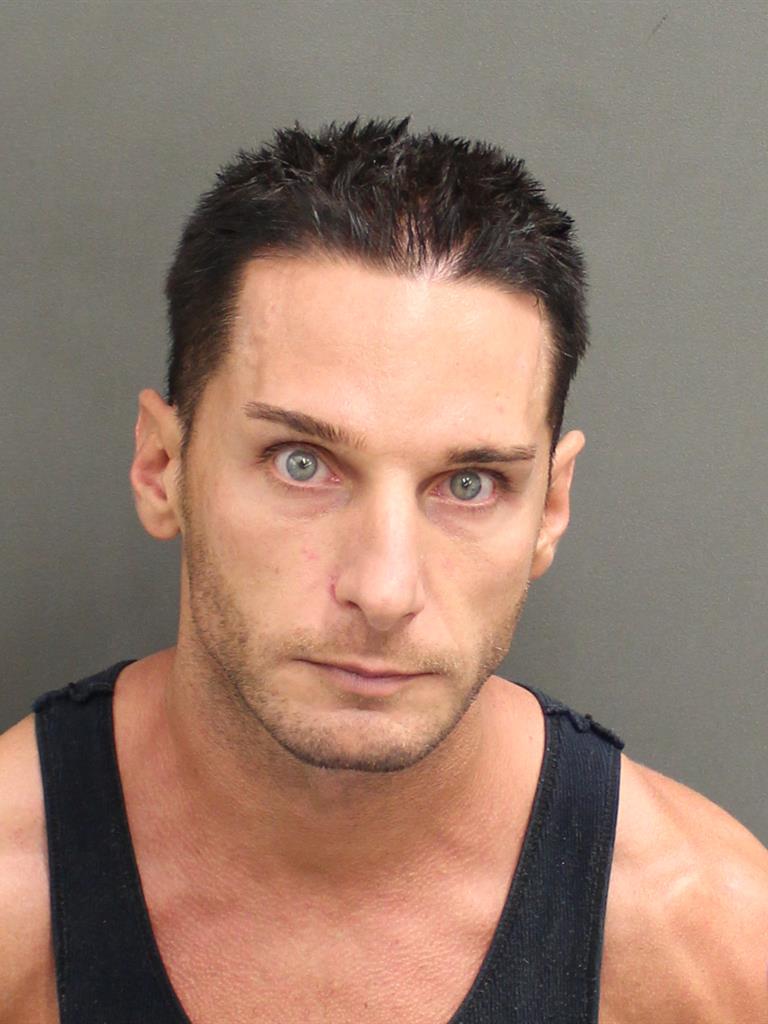  CHRISTOPHER LOUIS LOSANI Mugshot / County Arrests / Orange County Arrests
