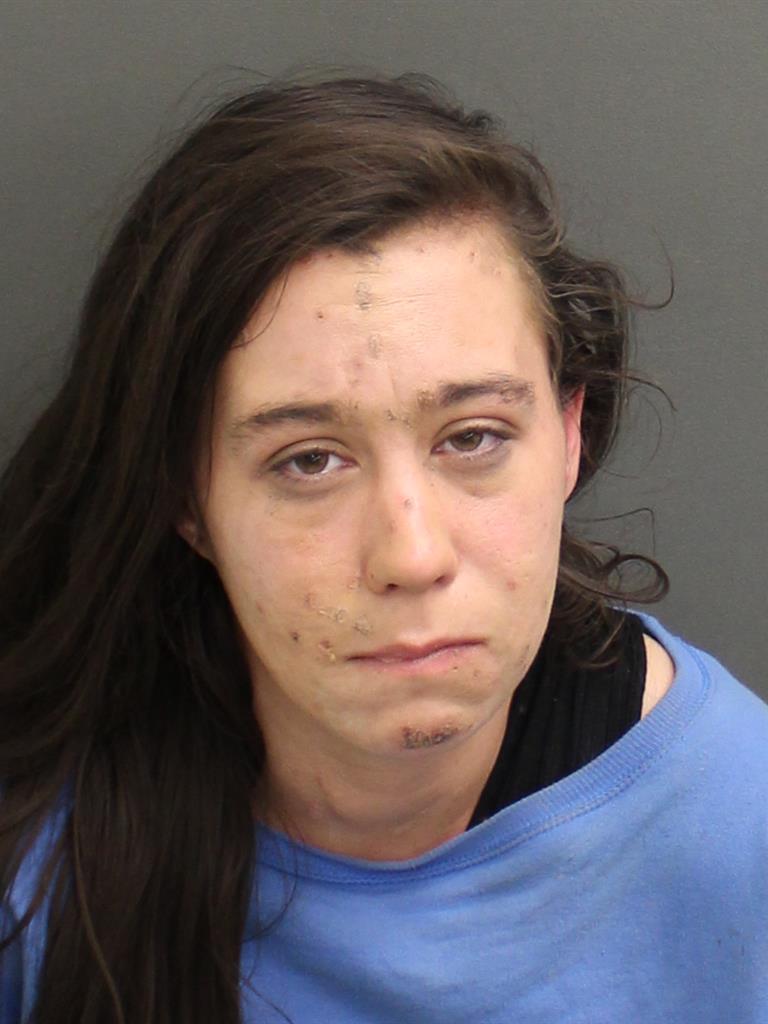  AMY DIANE EVANCIK Mugshot / County Arrests / Orange County Arrests