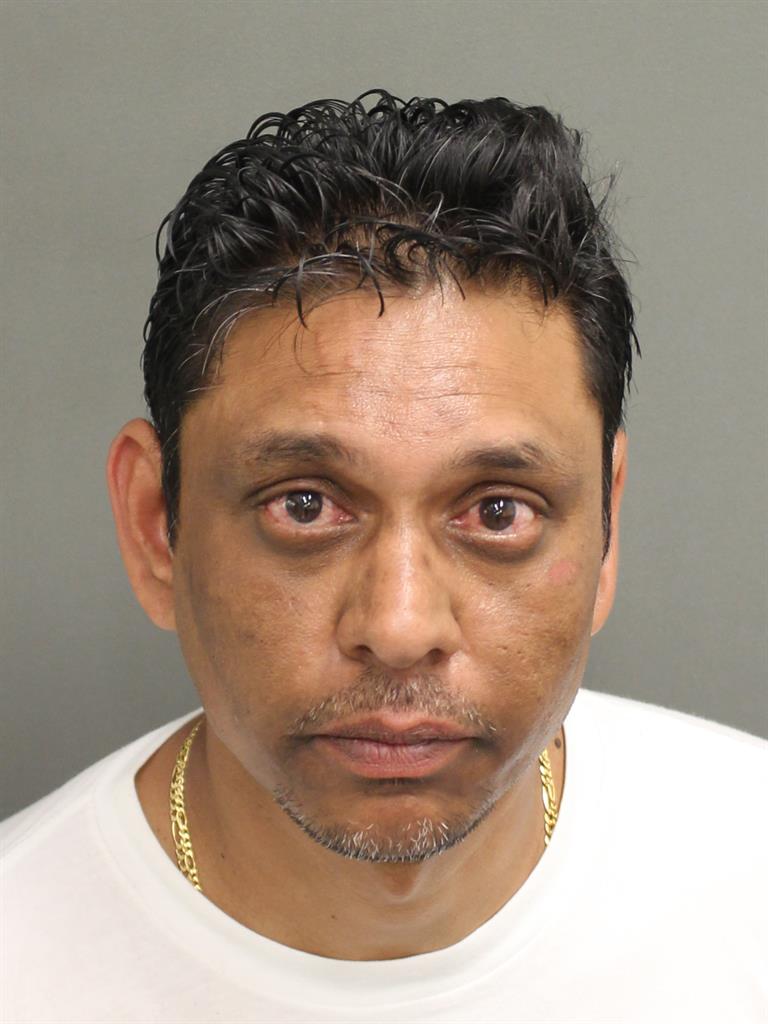  ROMEL ARJUNE Mugshot / County Arrests / Orange County Arrests