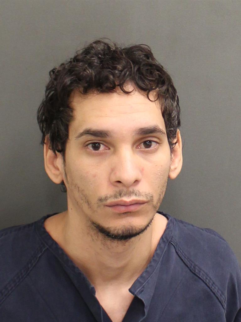  LUIS MANUEL TORRES Mugshot / County Arrests / Orange County Arrests