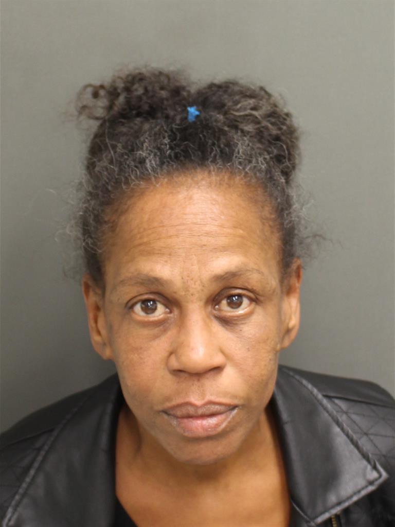  LISA LAROSA JOHNSON Mugshot / County Arrests / Orange County Arrests