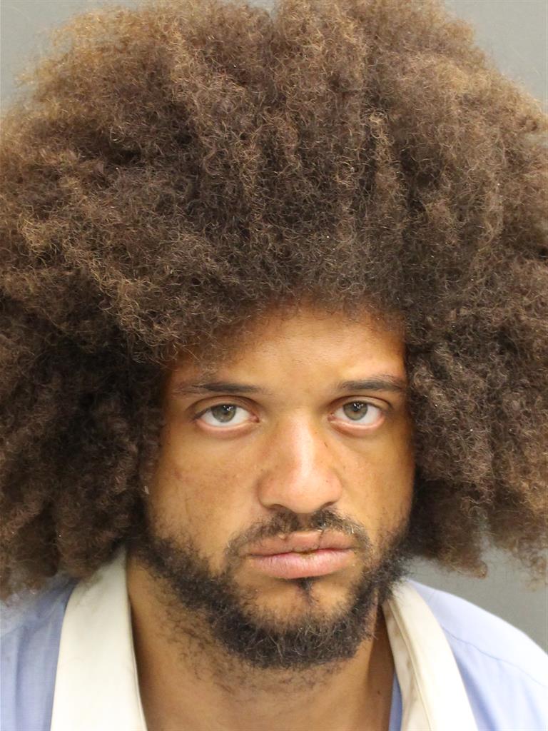  LYLE RALPH JOHNSON Mugshot / County Arrests / Orange County Arrests