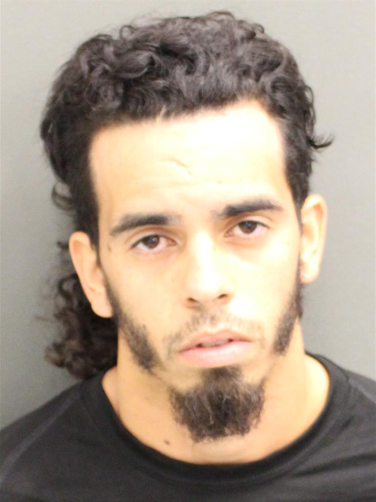  ANGEL LUIS AMADORGARCIA Mugshot / County Arrests / Orange County Arrests