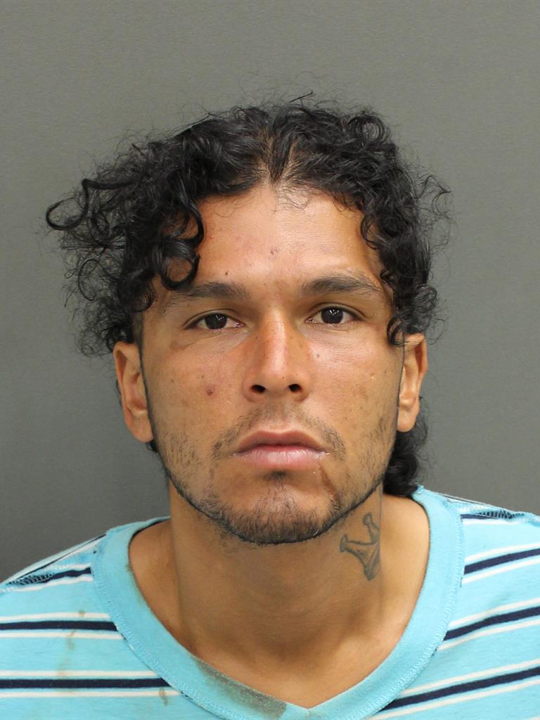  GABRIEL ACEVEDO Mugshot / County Arrests / Orange County Arrests