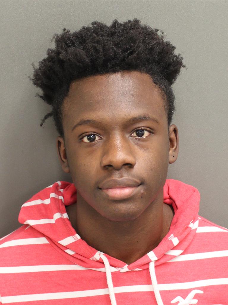  LUIGI ADAMO ELAN Mugshot / County Arrests / Orange County Arrests